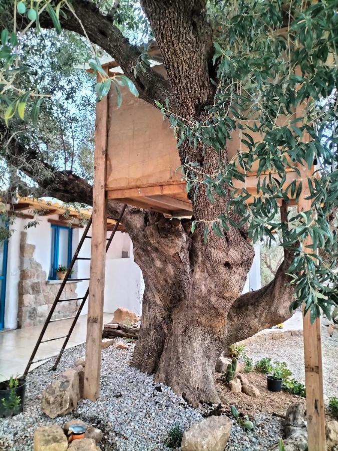 Sole In Ogliastra Bed & Breakfast Jerzu Bagian luar foto