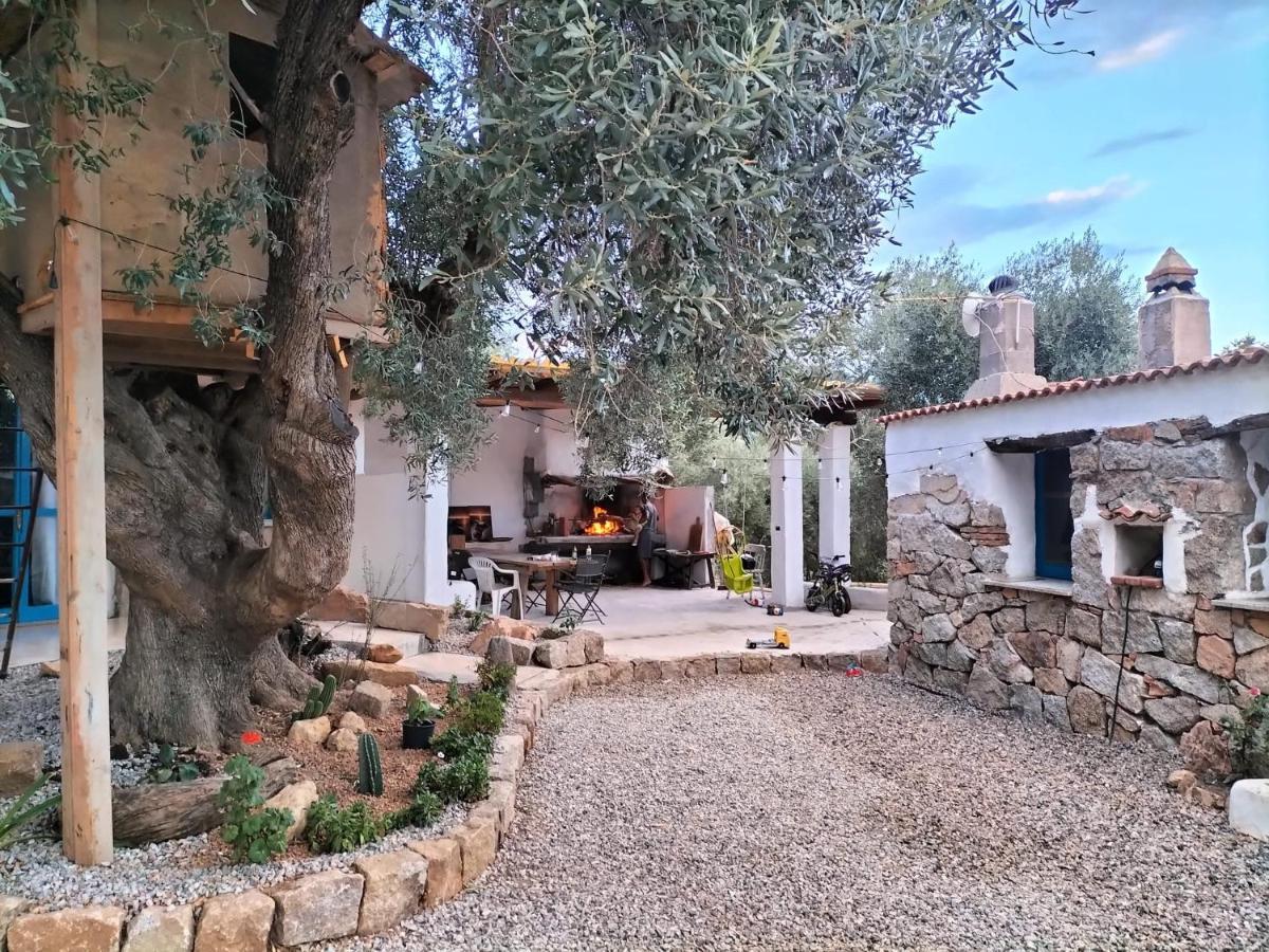 Sole In Ogliastra Bed & Breakfast Jerzu Bagian luar foto