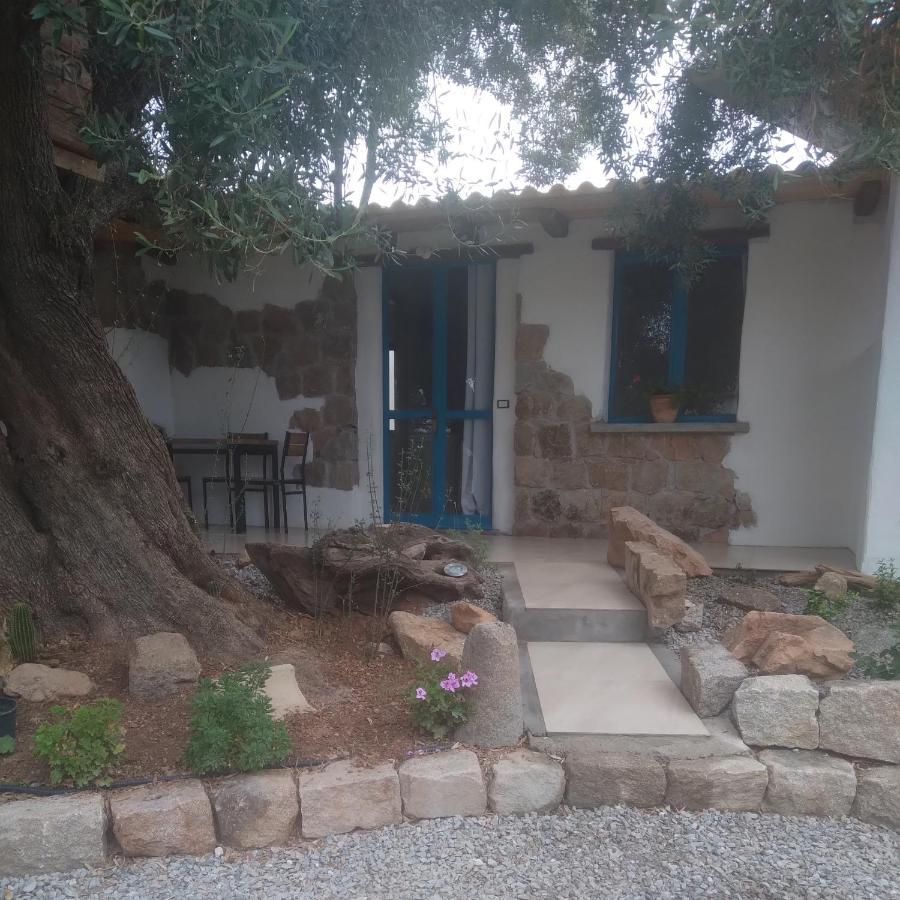 Sole In Ogliastra Bed & Breakfast Jerzu Bagian luar foto