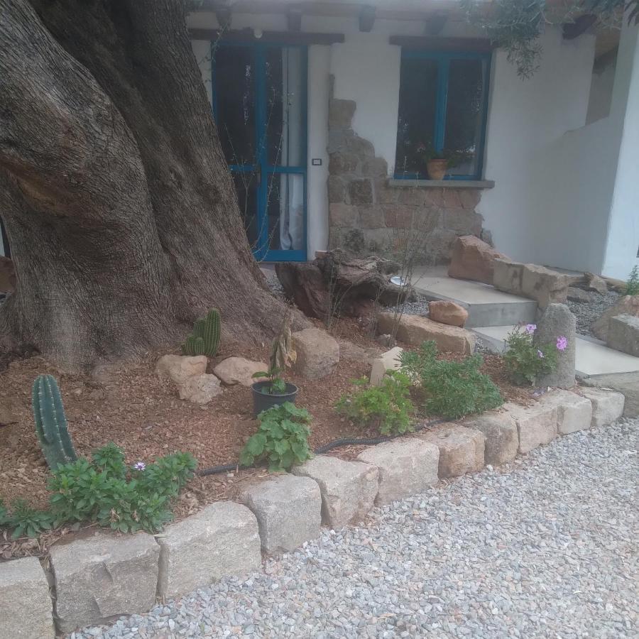 Sole In Ogliastra Bed & Breakfast Jerzu Bagian luar foto