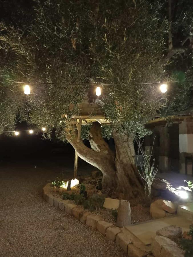 Sole In Ogliastra Bed & Breakfast Jerzu Bagian luar foto