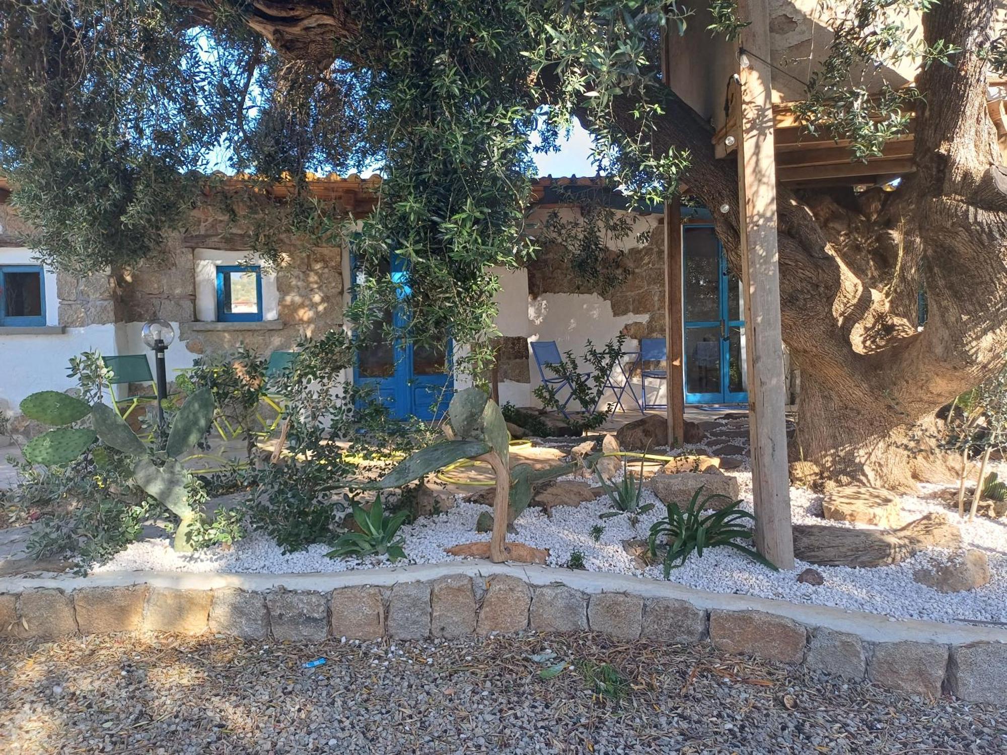Sole In Ogliastra Bed & Breakfast Jerzu Ruang foto
